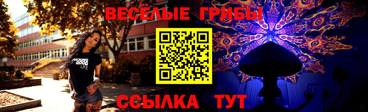 Псилоцибиновые грибы мицелий  Вход с VPN  Ипатово  Галлюциногенные грибы MAGIC MUSHROOMS 